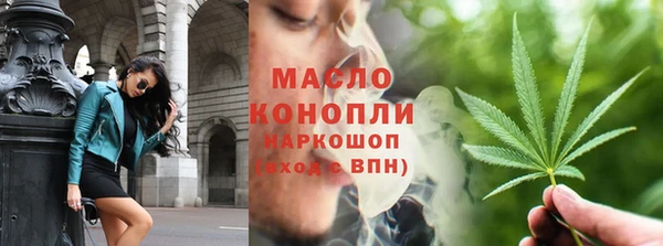 индика Бронницы