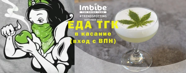 индика Бронницы