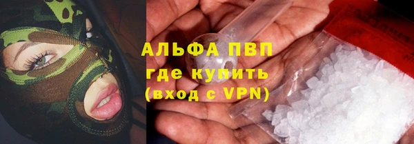 индика Бронницы