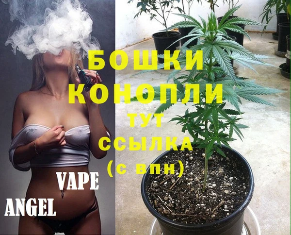 наркотики Бородино