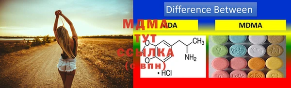 индика Бронницы