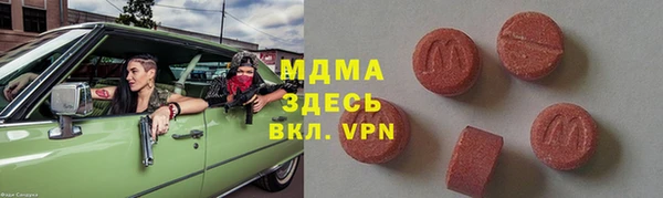 индика Бронницы