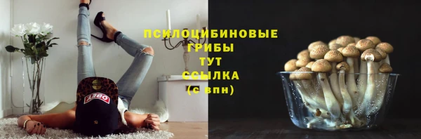 индика Бронницы