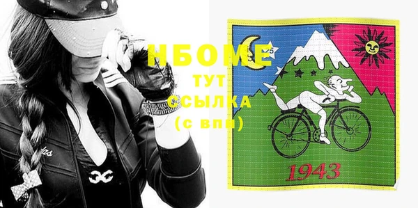 индика Бронницы