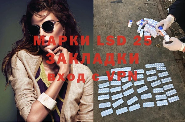 индика Бронницы