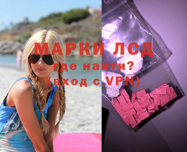 индика Бронницы