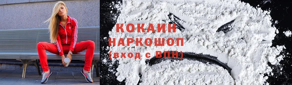 индика Бронницы
