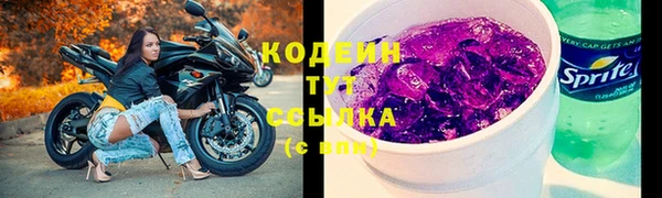 индика Бронницы
