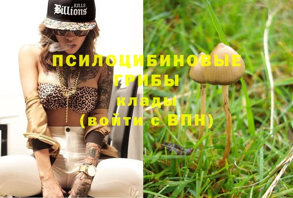 индика Бронницы