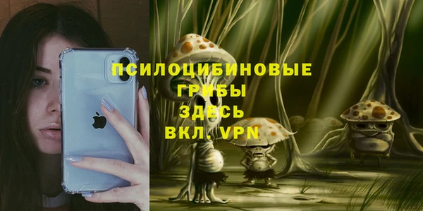 индика Бронницы