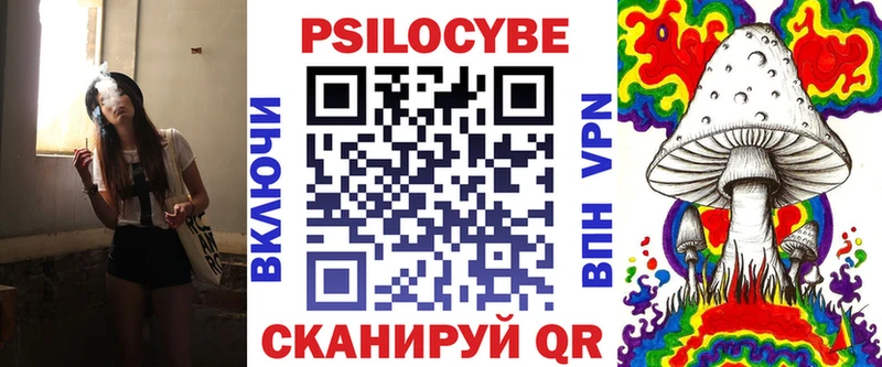 Купить закладки  Венёв  Псилоцибиновые грибы мицелий 
